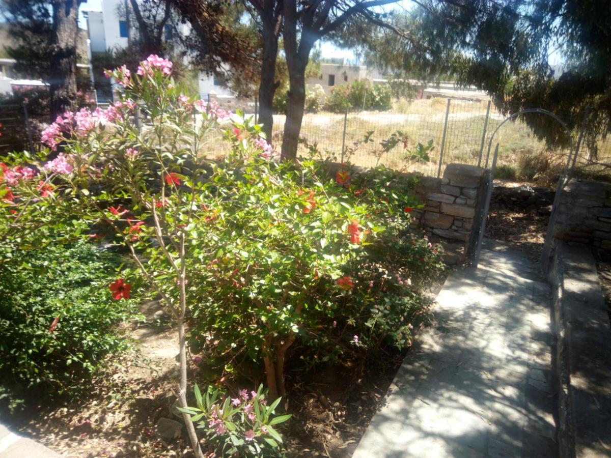 Little Stone House Near The Beach Agios Ioannis (Tinos) Exterior foto