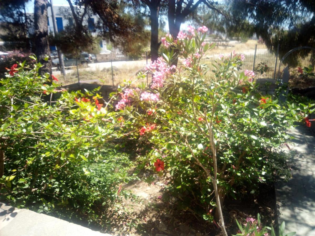 Little Stone House Near The Beach Agios Ioannis (Tinos) Exterior foto